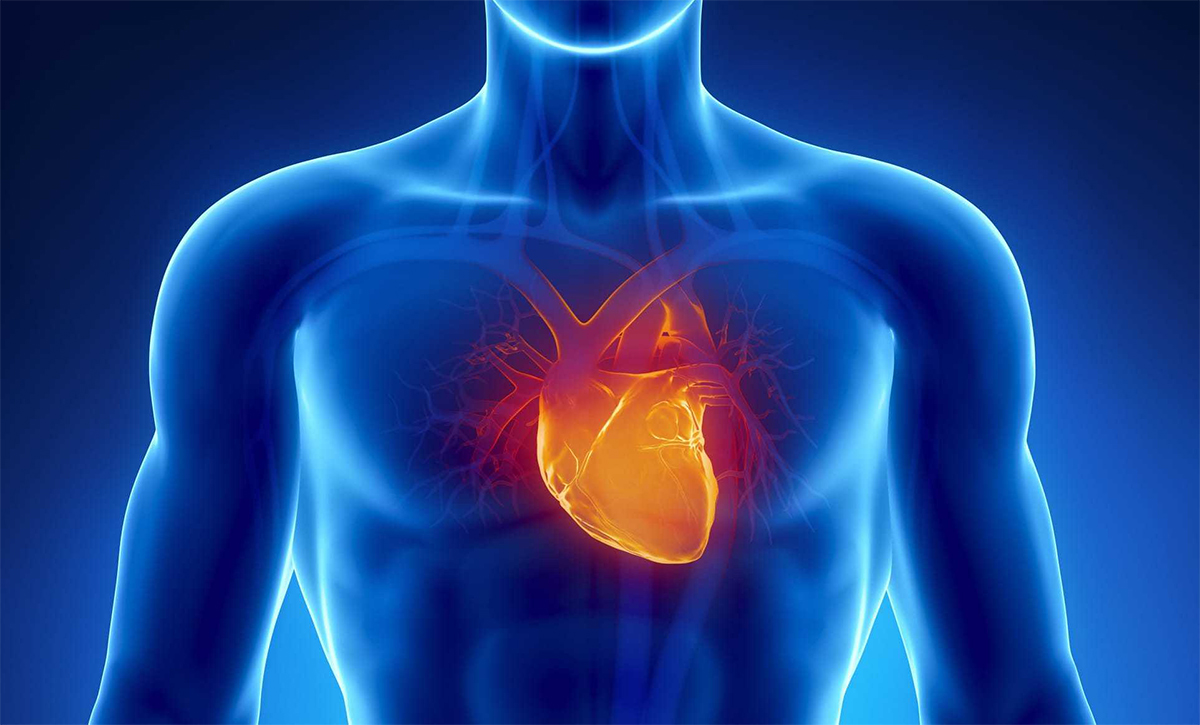 Precio o costo de consulta de los mejores cardiólogos cerca de campo tres poderes